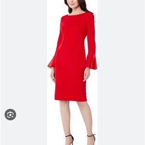 Calvin Klein Chiffon Long Sheer Bell Sleeve Round Neck Sheath Dress .NWT!